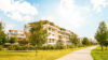 Mehrfamilienhaus das grün bewachsen ist