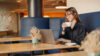 Junge Frau sitzt im Café an ihrem Laptop